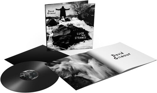 Luck and Strange LP by David Gilmour album artwork