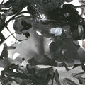Watarase LP by Fumio Itabashi album artwork