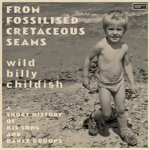 From Fossilised Cretaceous Seams 2LP by Wild Billy Childish album artwork