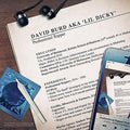 Professional Rapper 2LP by Lil Dicky album artwork