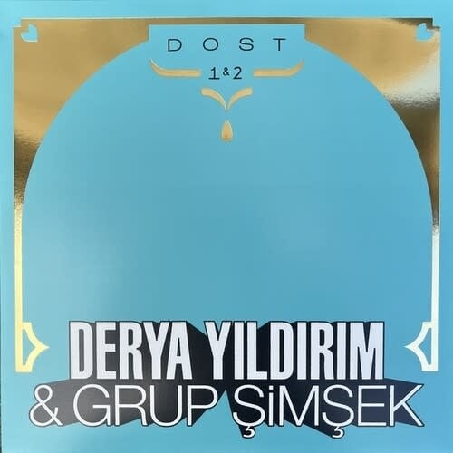 Dost 1 & 2 2LP by Derya Yildirim album artwork