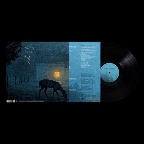 I've Told The Trees Everything LP by Dermot Kennedy album artwork