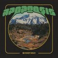 Apoptosis LP by Inner Wave album artwork