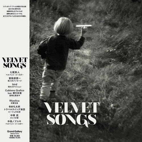 Velvet Songs LP by Various Artists album artwork