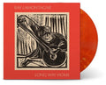 Long Way Home LP by Ray LaMontagne album artwork
