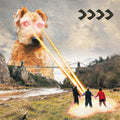 >>>> LP by Beak> album artwork