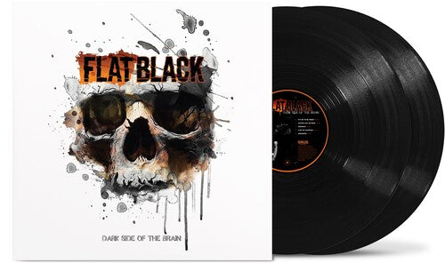 Dark Side Od The Brain 2LP by Flat Black album artwork