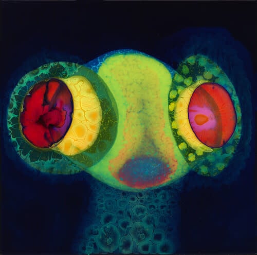 SORCS LP by Osees album artwork