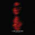 Dichotomy 2LP by David Kushner album artwork