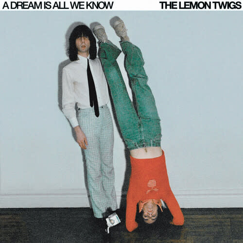 A Dream is All We Know LP by The Lemon Twigs album artwork