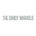 Dandy's Rule Ok 2LP by Dandy Warhols album artwork