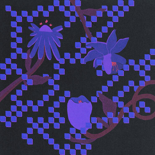 Into the Burning Blue LP by Trace Mountains album artwork
