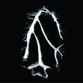 Everything Squared LP by Seefeel album artwork