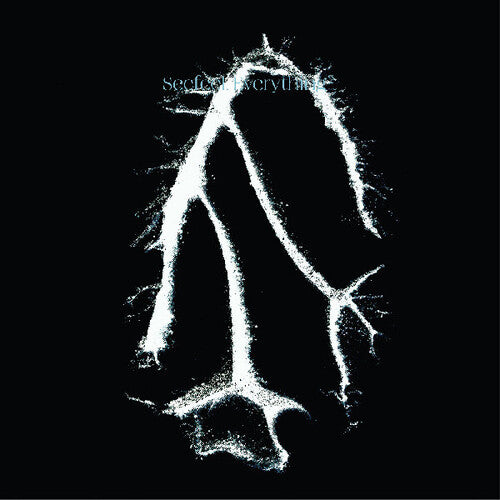 Everything Squared LP by Seefeel album artwork
