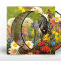 Swastikas for Noddy LP by Current 93 album artwork