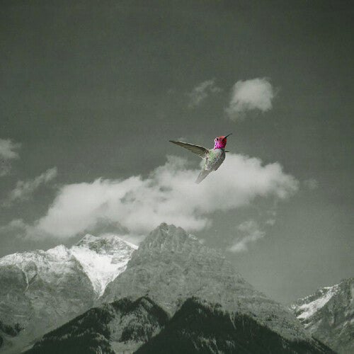Melt Away LP by Bardo Pond album artwork