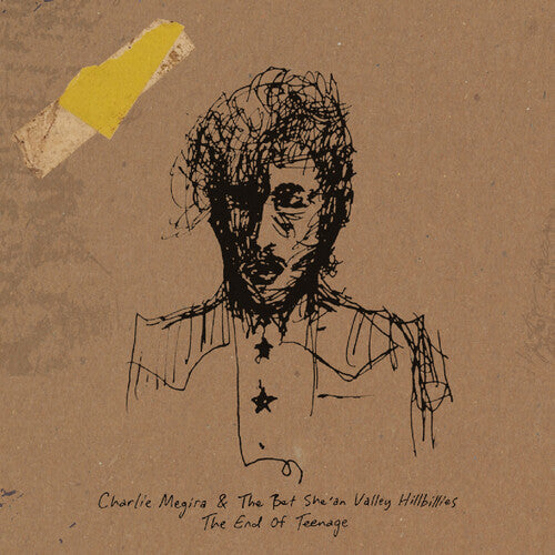 The End Of Teenage LP by Charlie Megira album artwork