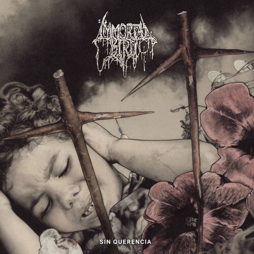 Sin Querencia CD by Immortal Bird album artwork