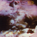The Land of Rape and Honey LP by Ministry album artwork