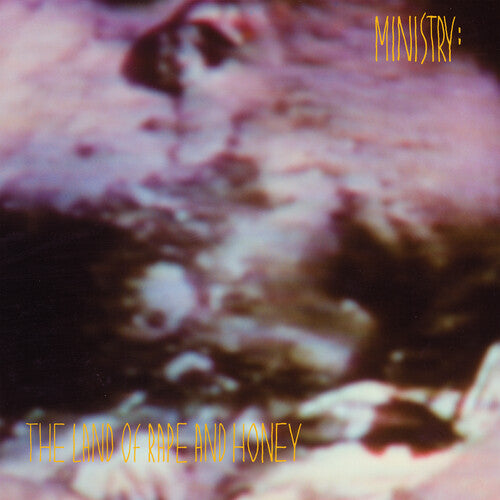 The Land of Rape and Honey LP by Ministry album artwork