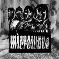 Much Love LP by Microwave album artwork