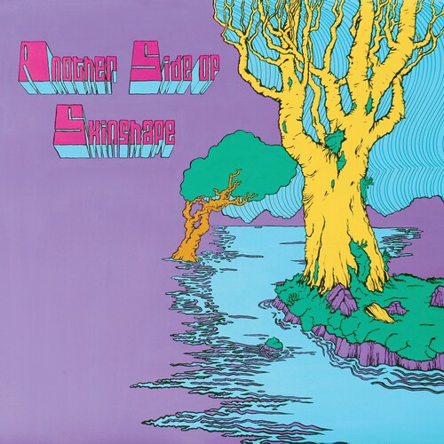 Another Side of Skinshape LP by Skinshape album artwork
