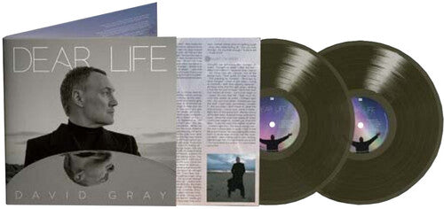 Dear Life 2LP by David Gray album artwork