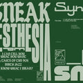 Synesthesia 12" by DJ Sneak album artwork