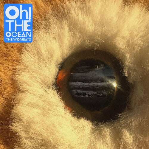 Oh! The Ocean CD by The Wombats album artwork