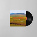 Grains LP by Boozoo Bajou album artwork