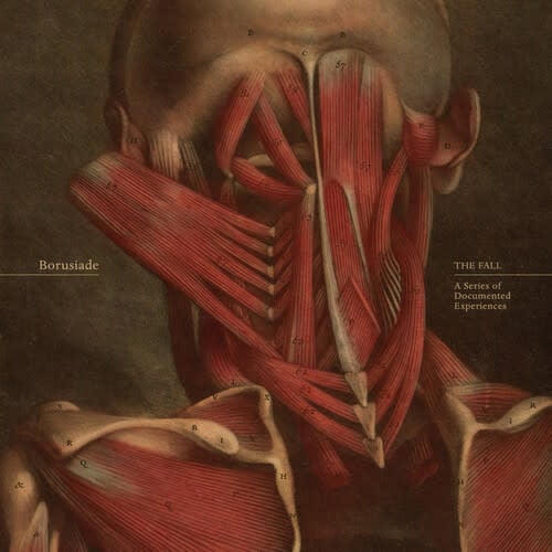 The Fall: A Series Of Documented Experiences LP by Borusiade album artwork
