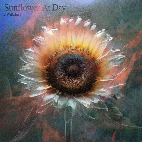 Sunflower At Day 12" by J Wiltshire album artwork