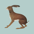 Lookaftering 2CD by Vashti Bunyan album artwork