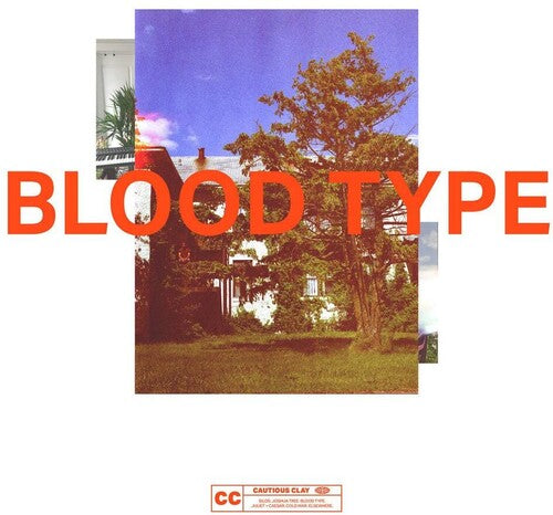 Blood Type LP by Cautious Clay album artwork