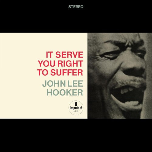 It Serve You Right To Suffer LP by John Lee Hooker album artwork