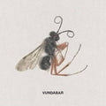 Good Old LP by Vundabar album artwork