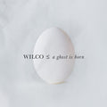 A Ghost Is Born 2CD by Wilco album artwork