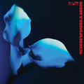 Birthmarks LP by Bambara album artwork