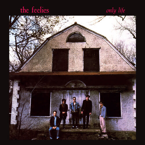Only Life LP by The Feelies album artwork