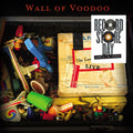 The Lost Tapes LIVE 2LP by Wall of Voodoo album artwork