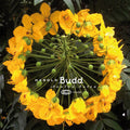 Avalon Sutra 3LP by Harold Budd album artwork