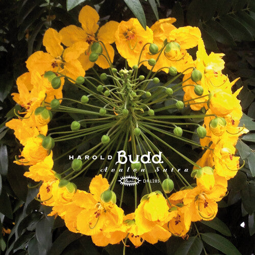 Avalon Sutra 3LP by Harold Budd album artwork