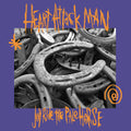 Joyride the Pale Horse CD by Heart Attack Man album artwork