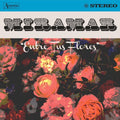Entre Tus Flores LP by Miramar album artwork
