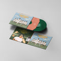 Growing Pains LP by Andy Frasco album artwork