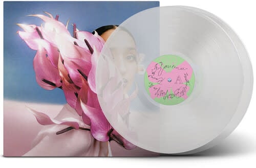 Where the Butterflies Go in the Rain 2LP by Raveena album artwork