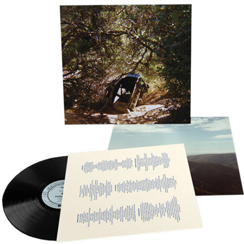 Possession LP by Ty Segall album artwork