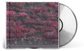 Even In Arcadia CD by Sleep Token album artwork