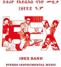 Stereo Instrumental Music 2LP by Ibex Band album artwork