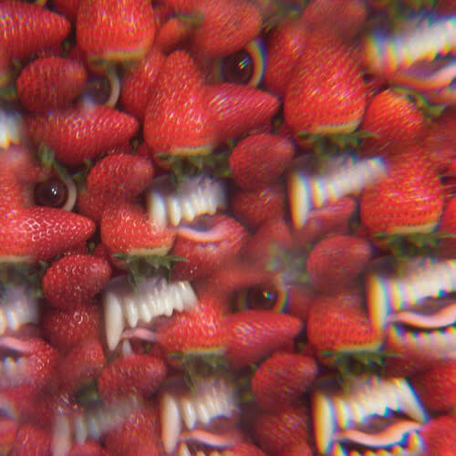 Floating Coffin LP by Oh Sees album artwork